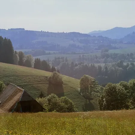 Gaestehaus Waldeck 3* Titisee-Neustadt