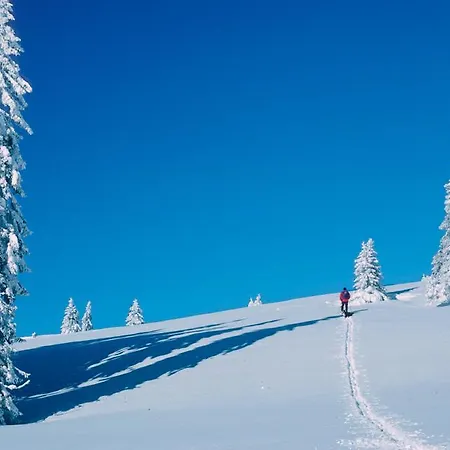 Gaestehaus Waldeck Titisee-Neustadt