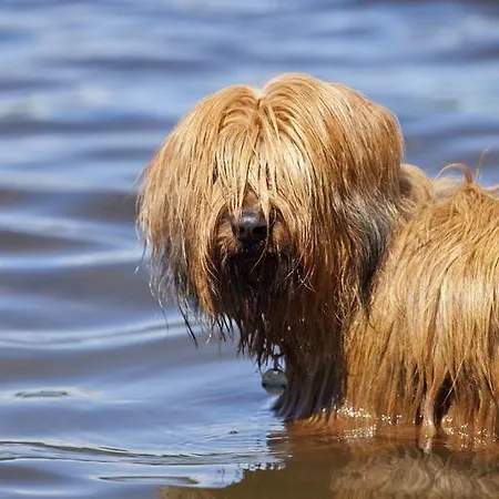 Pensión Gaestehaus Waldeck