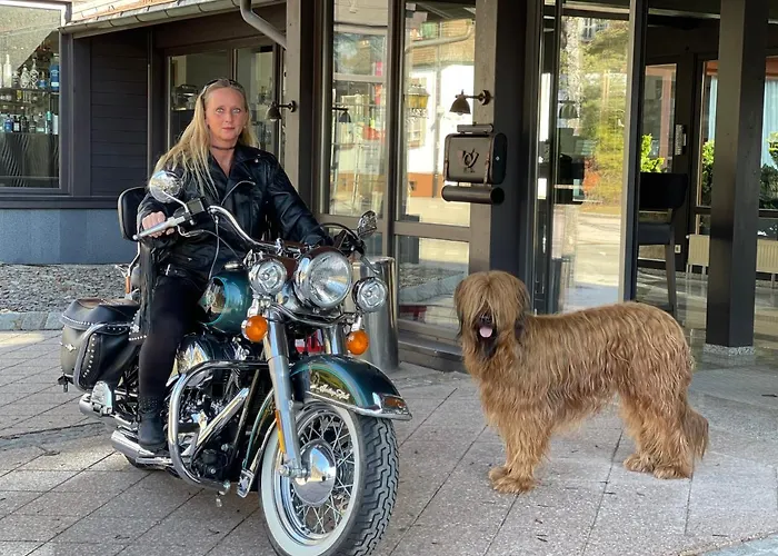 بيت ضيافة Gaestehaus Waldeck 3*