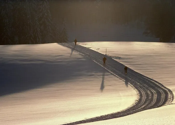 Gaestehaus Waldeck بيت ضيافة