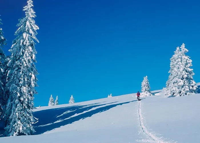 Gaestehaus Waldeck تيتيسي نيوستادت