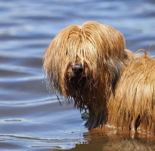 بيت ضيافة Gaestehaus Waldeck